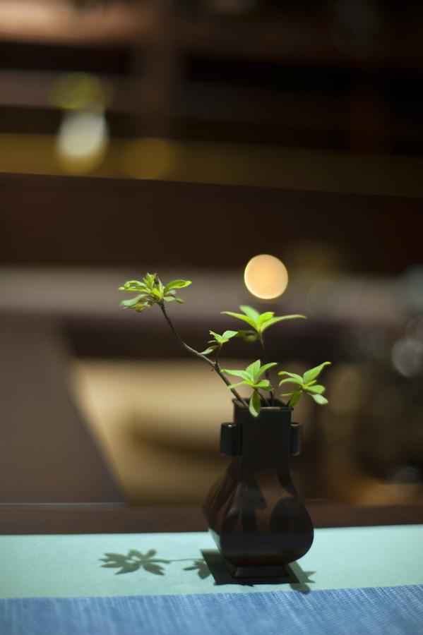 At Heart Zen Hotel Чэнду Экстерьер фото